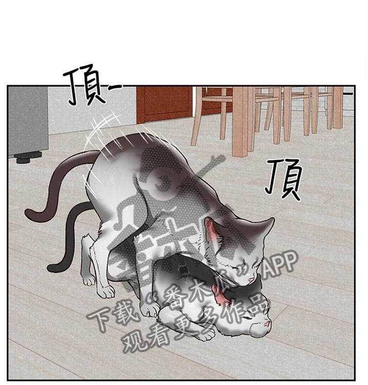 《寄宿旅馆》第45话 45_不同的世界 第10页