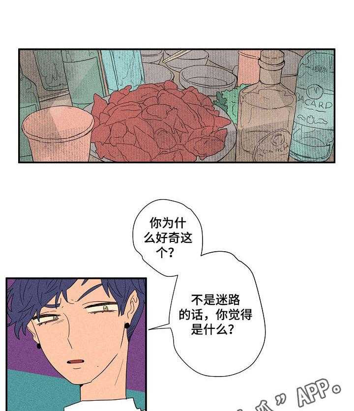 《混沌关系》第15话 15_真心话游戏 第17页