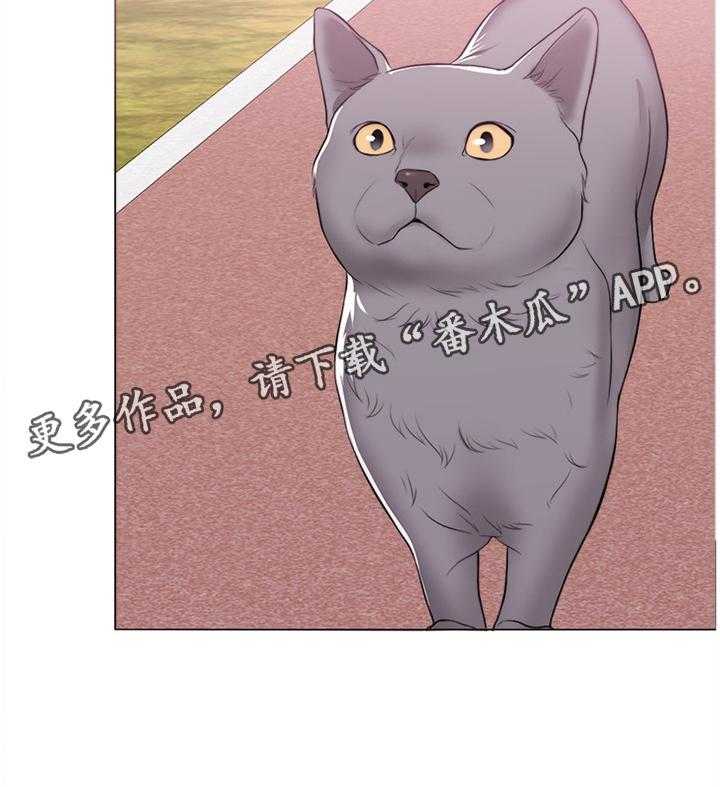 《瘦身游泳课》第38话 38_约会 第36页