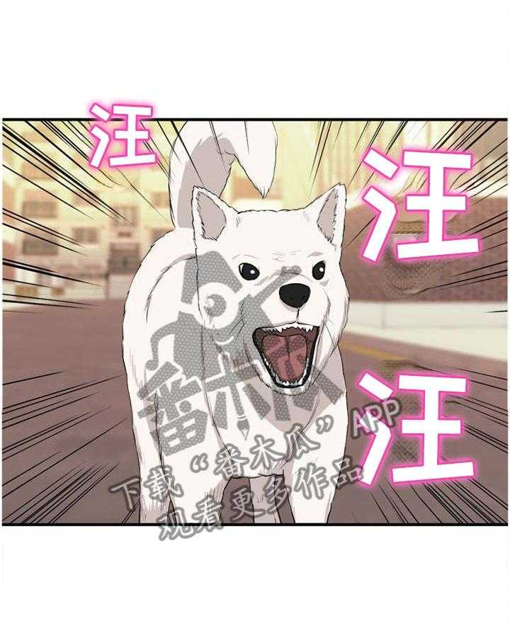 《世交抉择》第43话 43_口嫌体正直 第19页