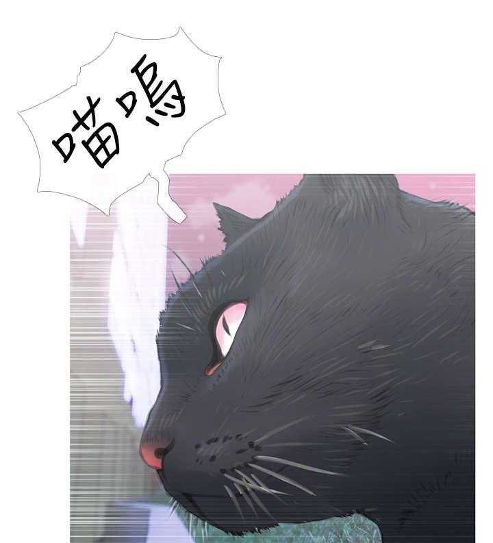 《住户危机》第1话 1_猫咪 第11页
