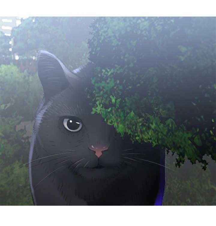 《住户危机》第1话 1_猫咪 第21页