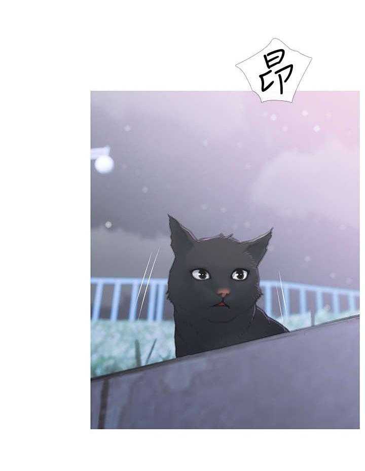 《住户危机》第1话 1_猫咪 第6页