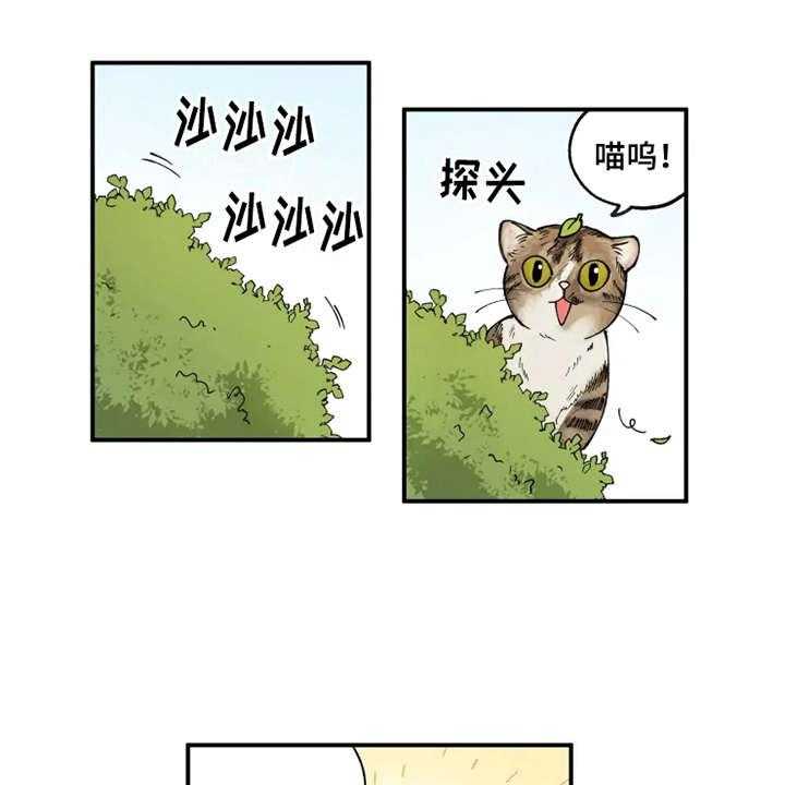 《炽热追求》第8话 8_猫咪 第13页
