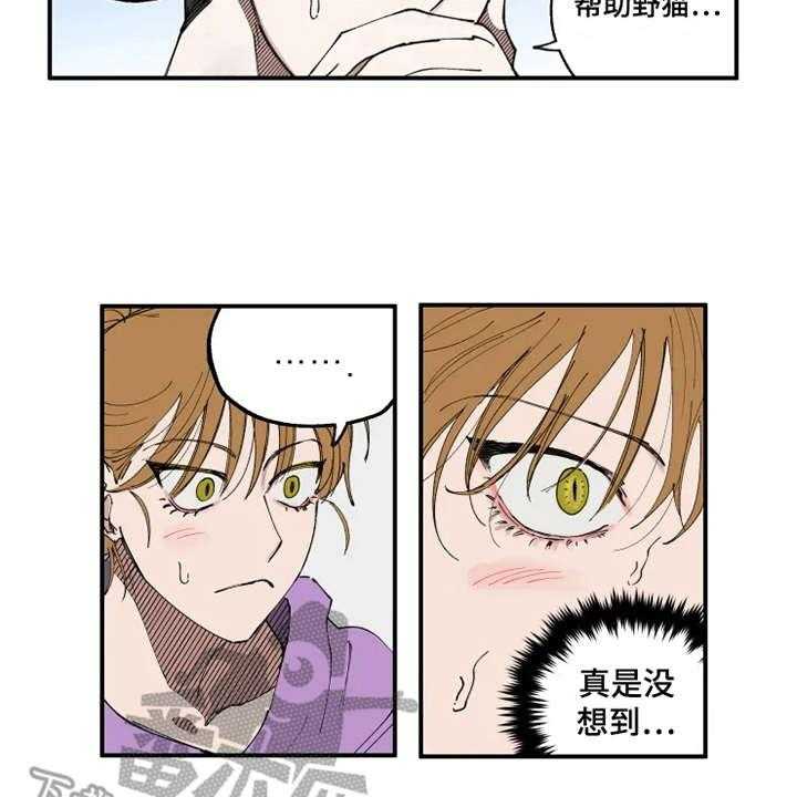 《炽热追求》第8话 8_猫咪 第25页