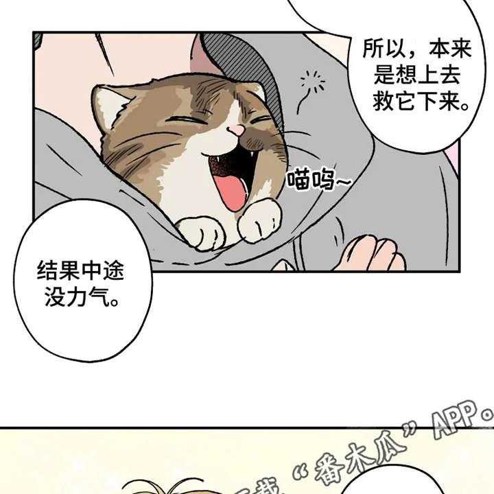 《炽热追求》第21话 21_很在意 第7页