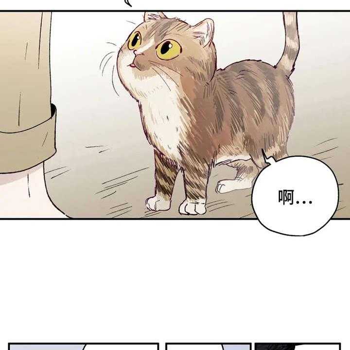 《炽热追求》第23话 23_出谋划策 第24页