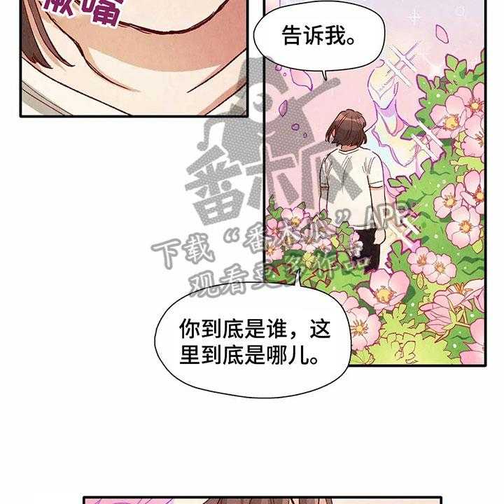《争宠精灵使》第33话 33_形象 第2页
