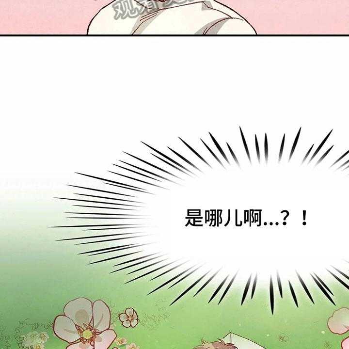 《争宠精灵使》第32话 32_似梦非梦 第3页