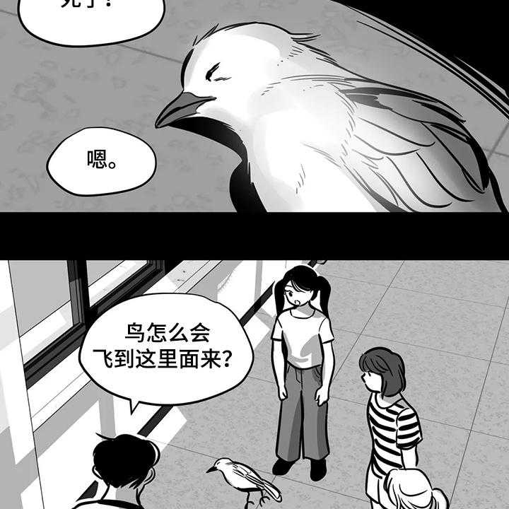 《鸠占鹊巢》第60话 60_【第二季】撞死的鸟 第2页