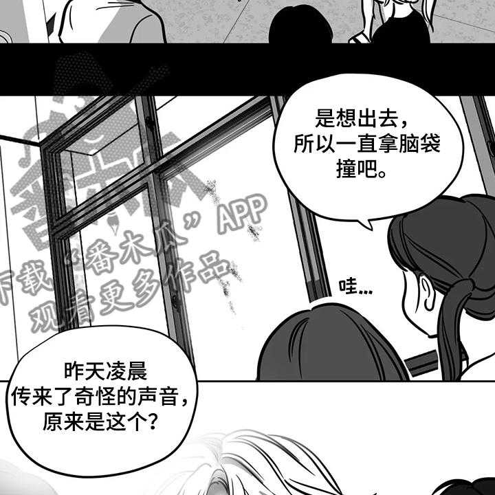《鸠占鹊巢》第60话 60_【第二季】撞死的鸟 第3页