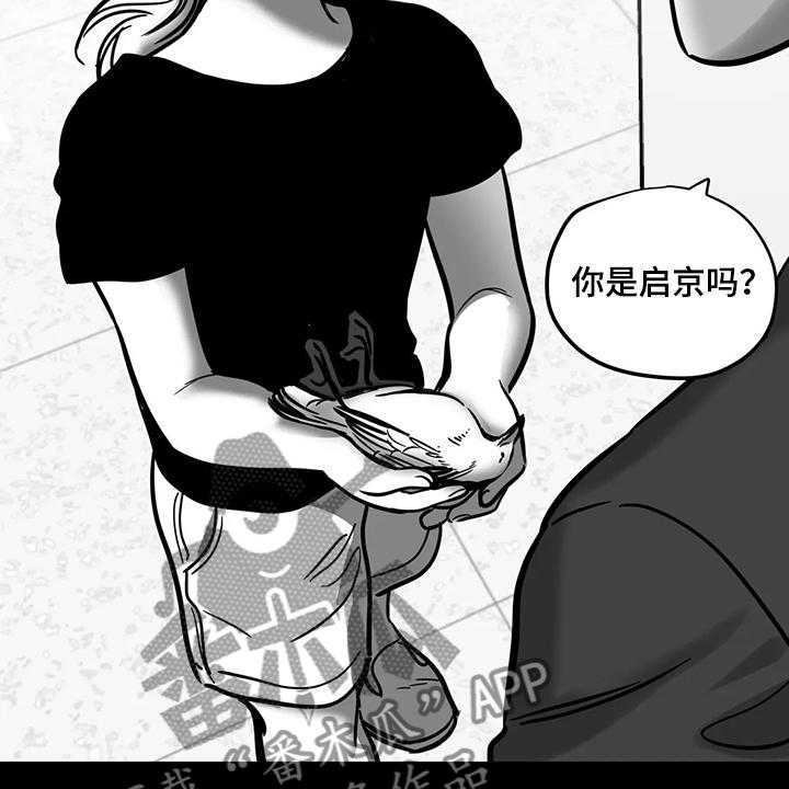 《鸠占鹊巢》第60话 60_【第二季】撞死的鸟 第8页
