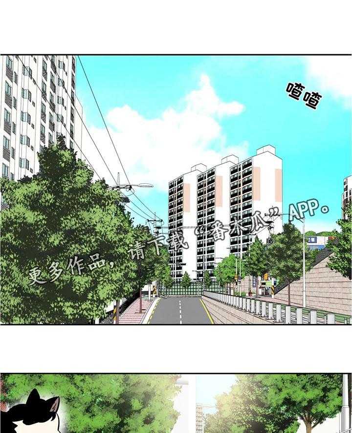 《鸠占鹊巢》第43话 43_约会 第1页