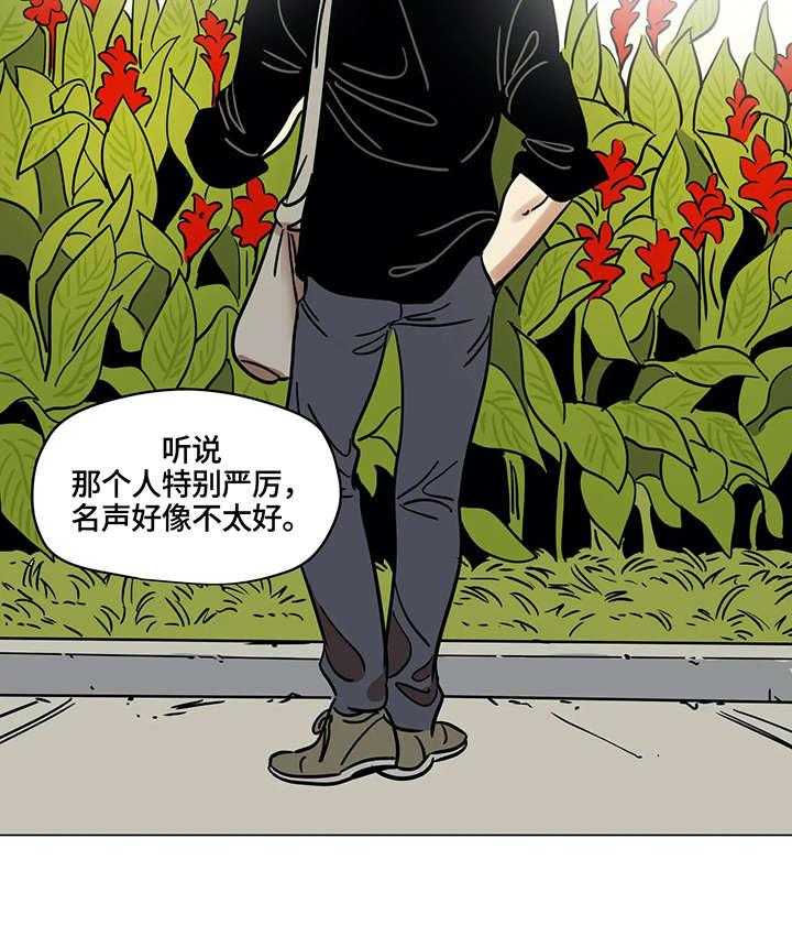 《鸠占鹊巢》第11话 11_入选 第6页