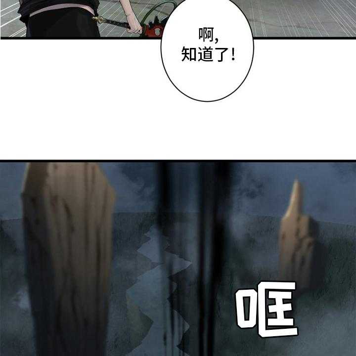 《苍兽大人》第165话 165_悲伤 第41页