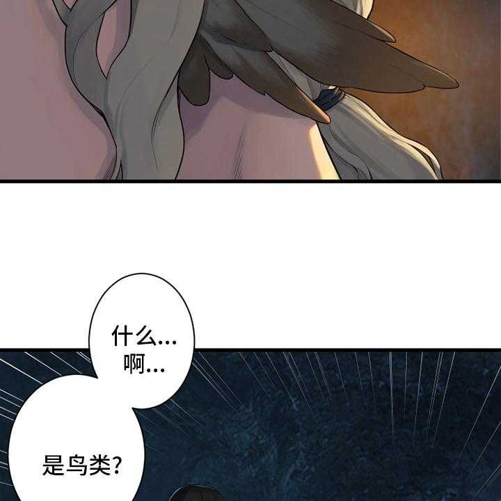 《苍兽大人》第131话 131_委托 第43页