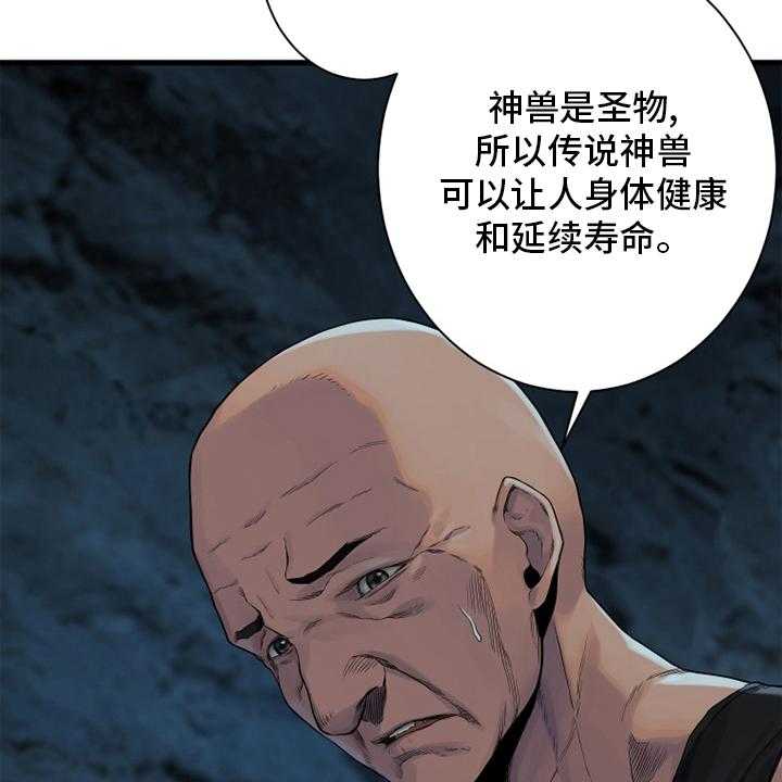 《苍兽大人》第119话 119_不见了 第5页