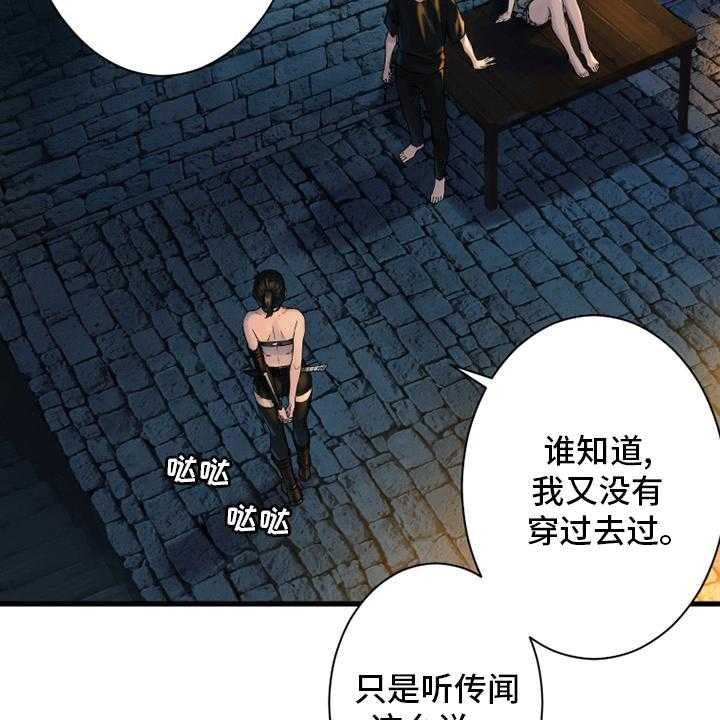 《苍兽大人》第113话 113_障壁后面 第46页