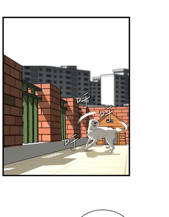 《窥视者2》第57话 57_你觉得这里如何 第29页