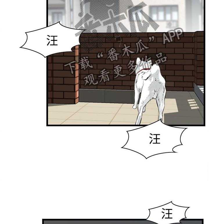 《窥视者2》第58话 58_华式定理 第32页