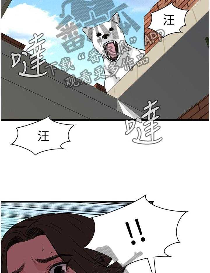 《窥视者2》第59话 59_抓获 第2页