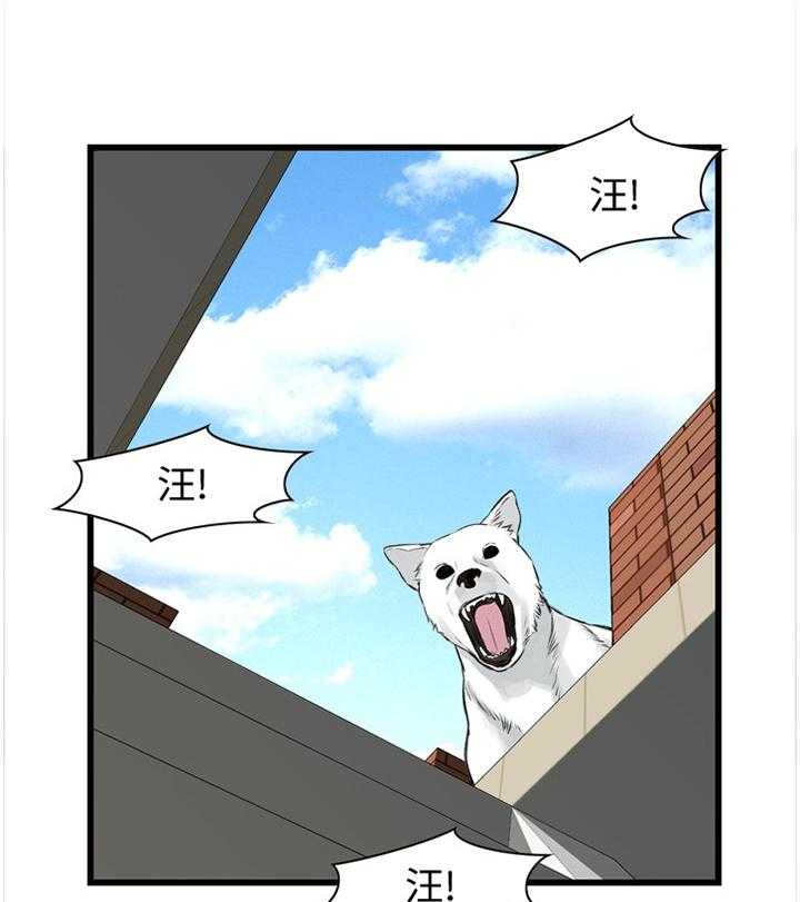 《窥视者2》第59话 59_抓获 第4页