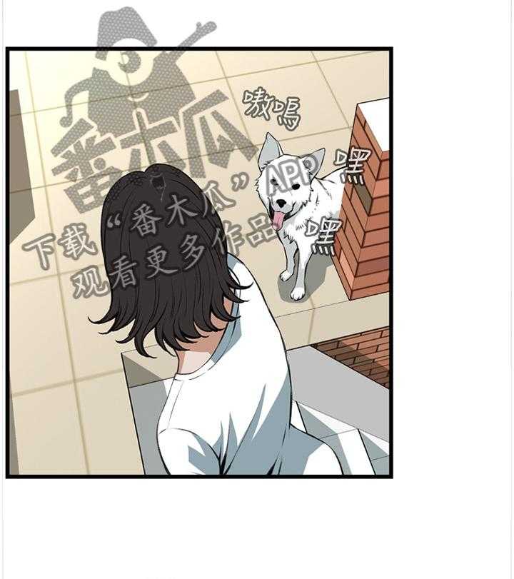 《窥视者2》第59话 59_抓获 第6页