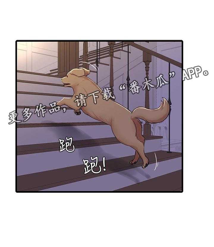 《特别照顾》第72话 72_认真学习 第37页