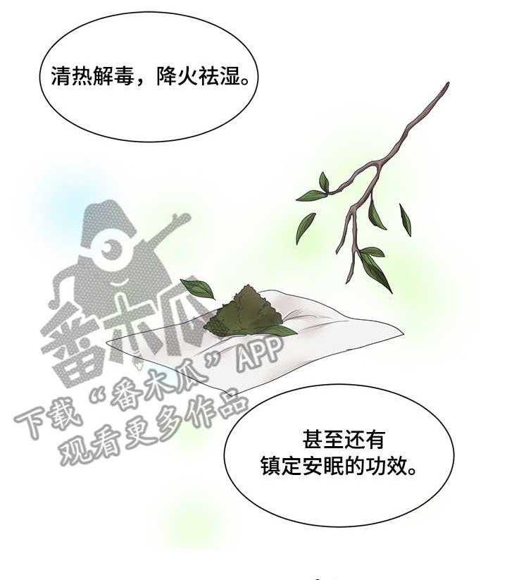 《陌生王妃》第19话 19_雪花叶 第11页