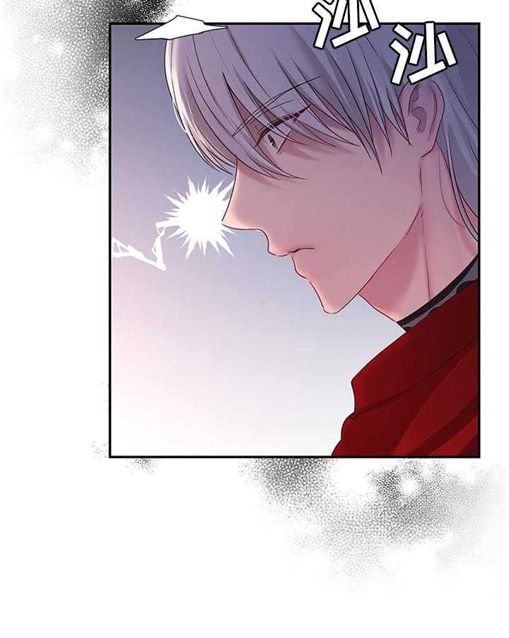 《陌生王妃》第48话 49_机会 第33页