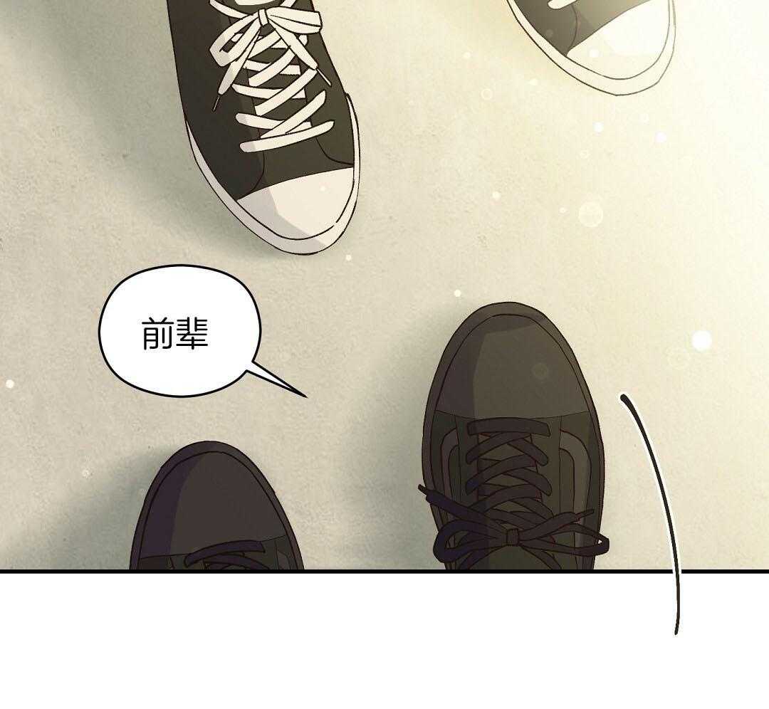 《我是beta？我装的》第20话 我是不是更好 第43页