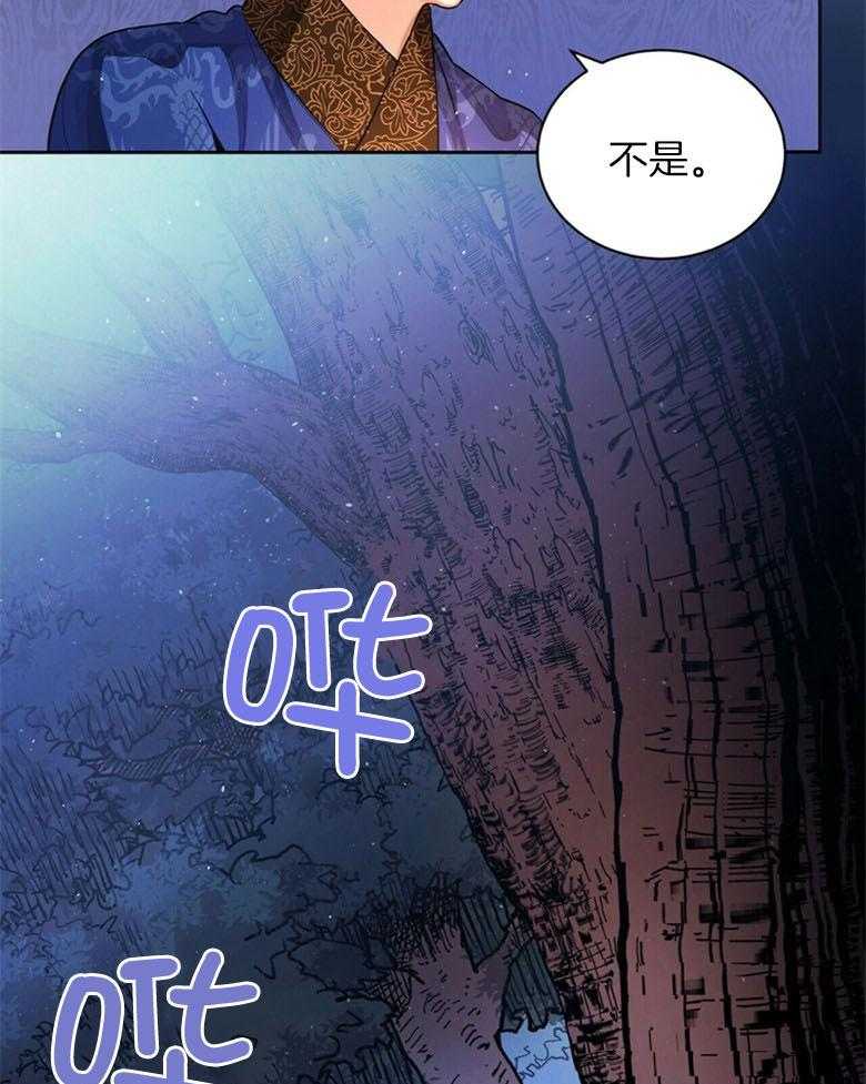 《师尊！您别醋！》第1话 1_与师尊的相遇 第29页