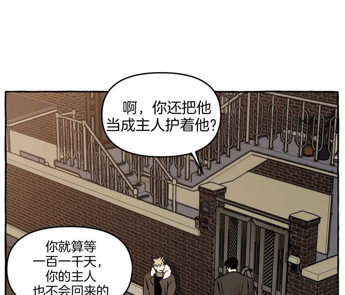 《捡只宠物被攻了》第1话 1_蹲门口的小可怜 第11页