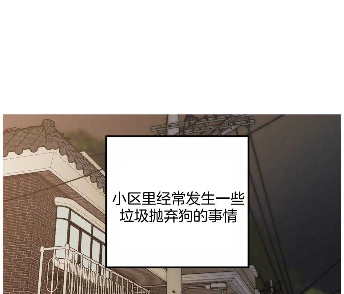 《捡只宠物被攻了》第1话 1_蹲门口的小可怜 第1页