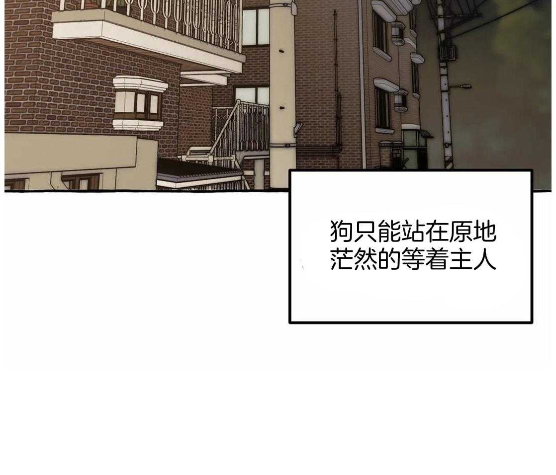 《捡只宠物被攻了》第1话 1_蹲门口的小可怜 第2页