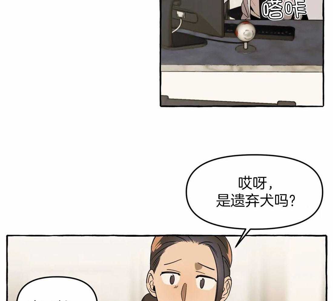 《捡只宠物被攻了》第6话 6_拆家了！ 第6页