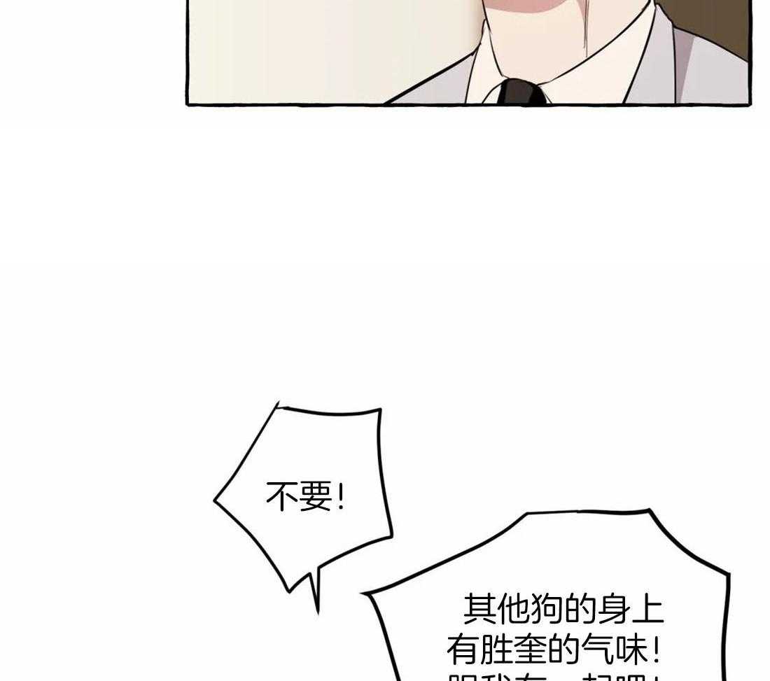 《捡只宠物被攻了》第10话 10_追到医院来 第30页