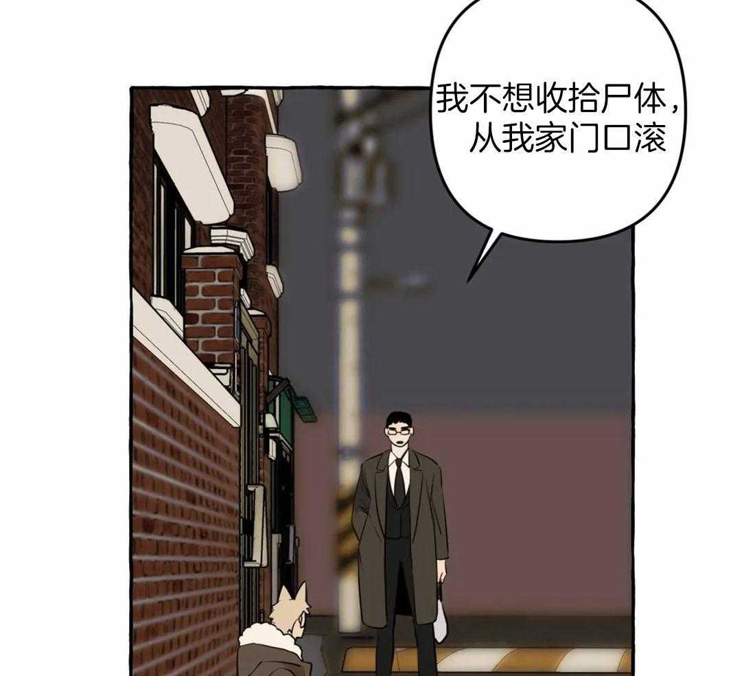 《捡只宠物被攻了》第12话 大可爱曾是网红 第35页