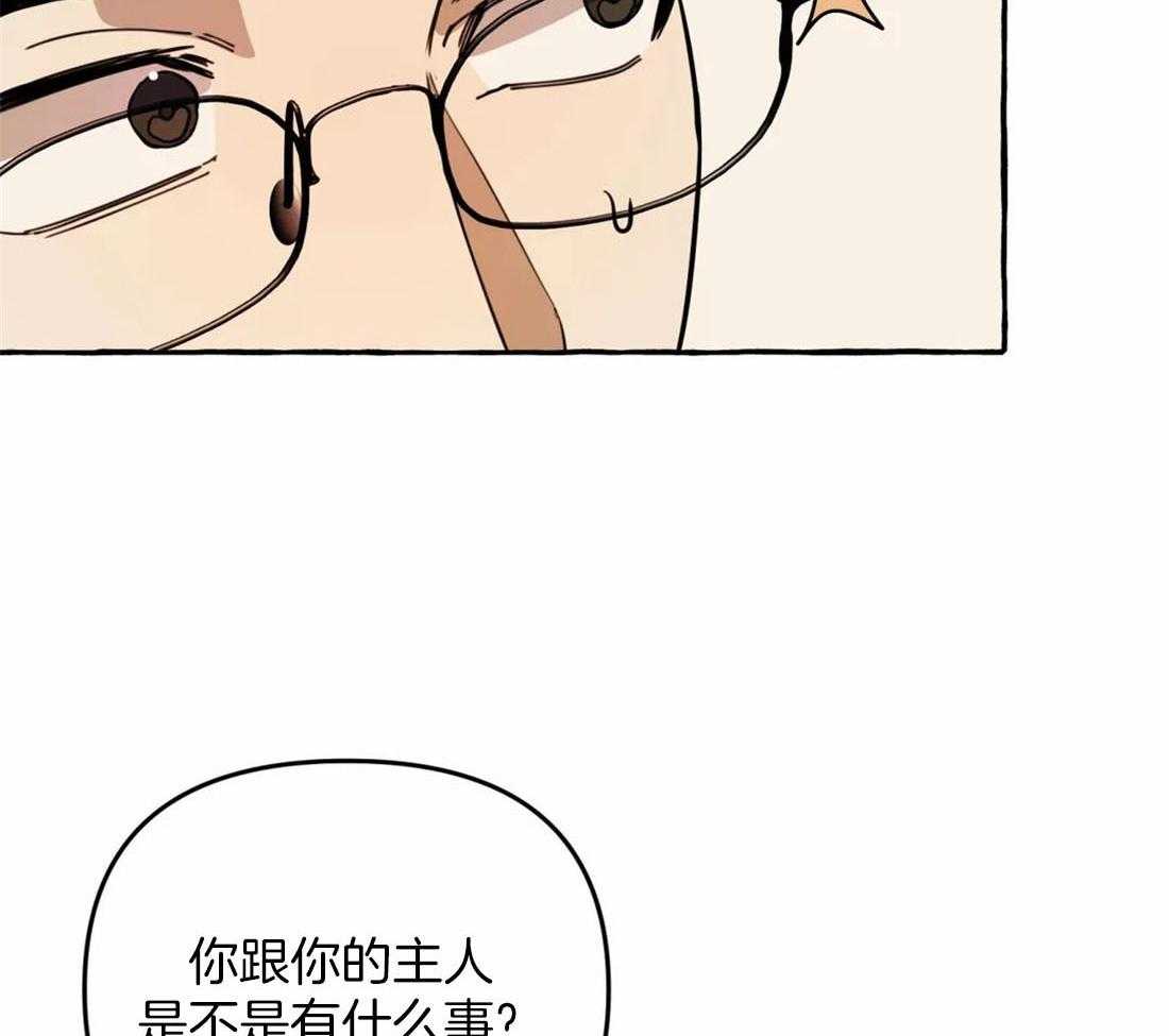 《捡只宠物被攻了》第11话 11_亲亲教学 第37页
