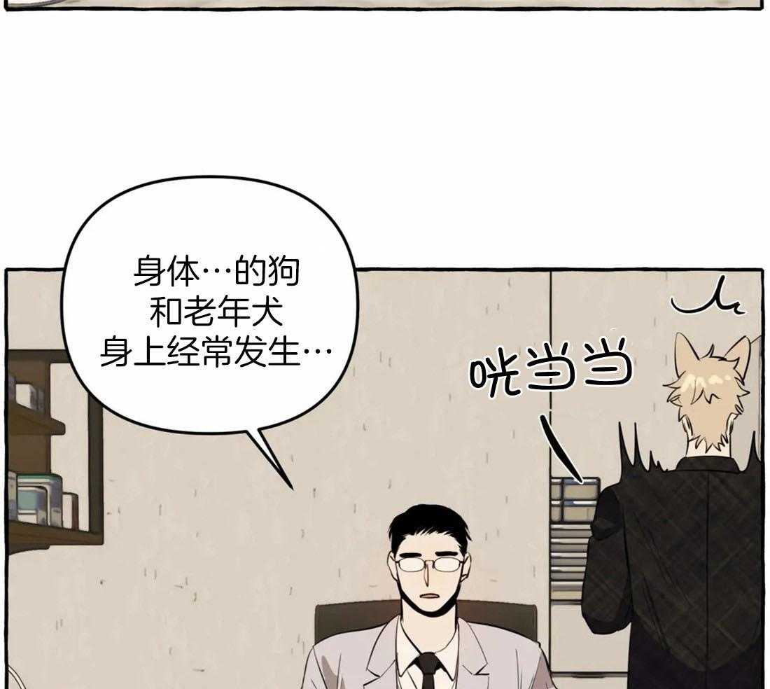 《捡只宠物被攻了》第11话 11_亲亲教学 第4页