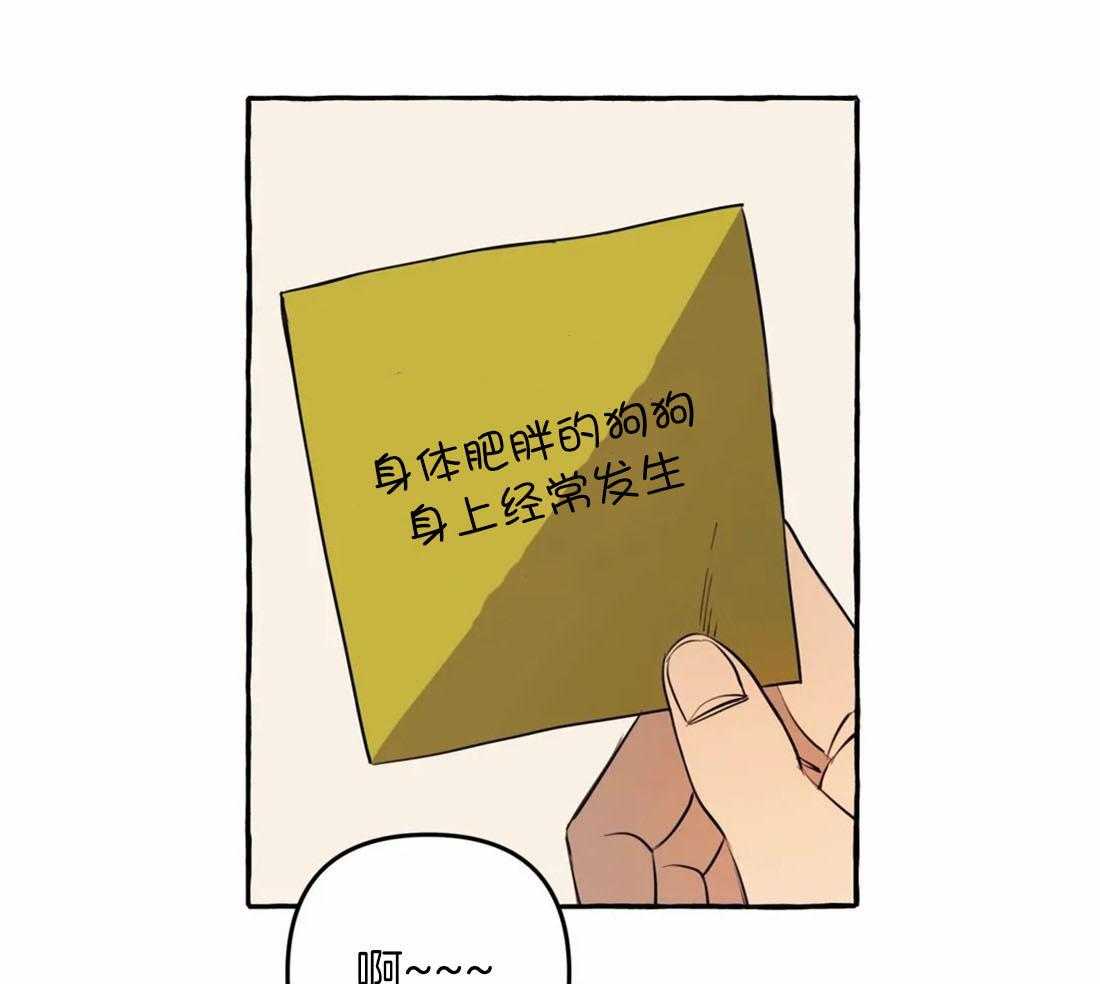 《捡只宠物被攻了》第11话 11_亲亲教学 第9页