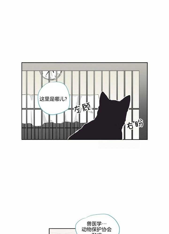 《恋人未满的诅咒》第5话 5_拉去割蛋蛋 第5页