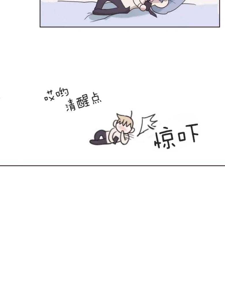 《爱豆要找我整容》第5话 5_猫系脸 第10页