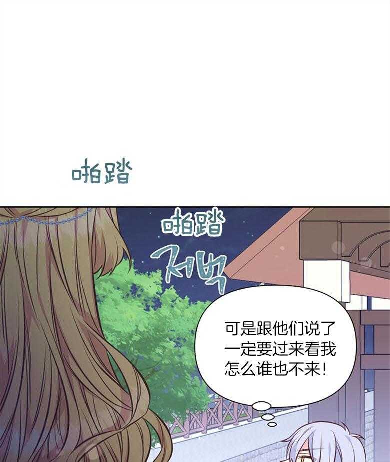 《狂撩炮灰美人殿下》第58话 书中的幕后者 第24页