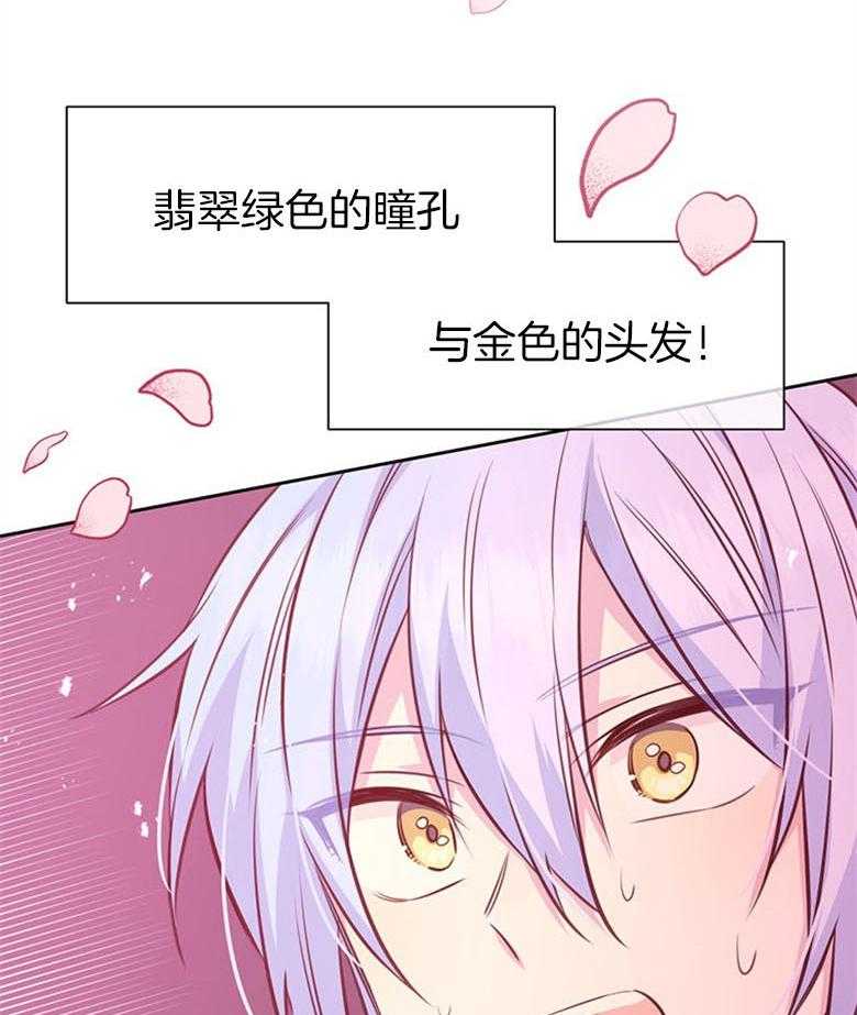 《狂撩炮灰美人殿下》第58话 书中的幕后者 第30页