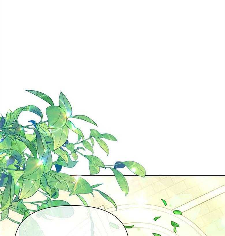 《狂撩炮灰美人殿下》第58话 书中的幕后者 第3页