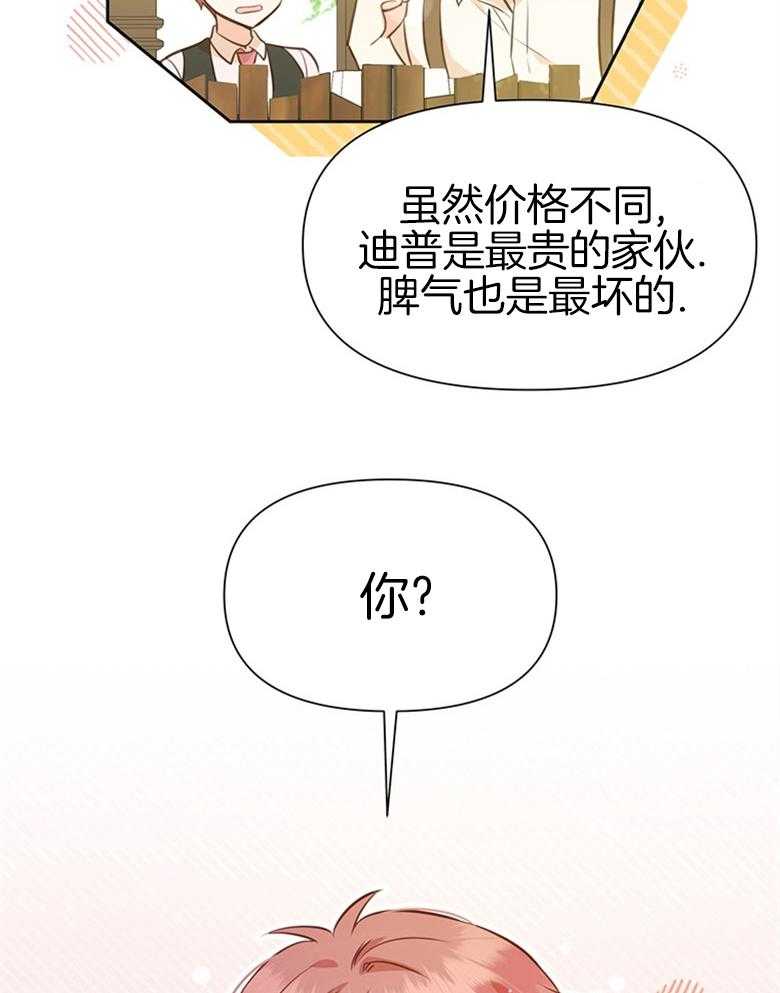 《狂撩炮灰美人殿下》第39话 陌生的孩子 第34页