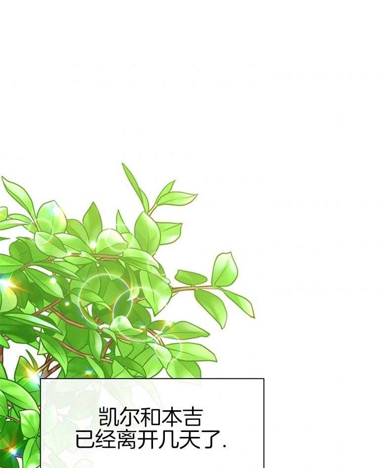 《狂撩炮灰美人殿下》第38话 离开 第42页