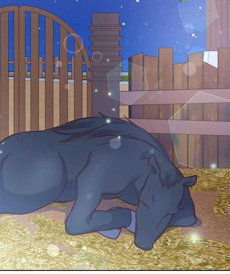 《狂撩炮灰美人殿下》第35话 星星是希望 第3页