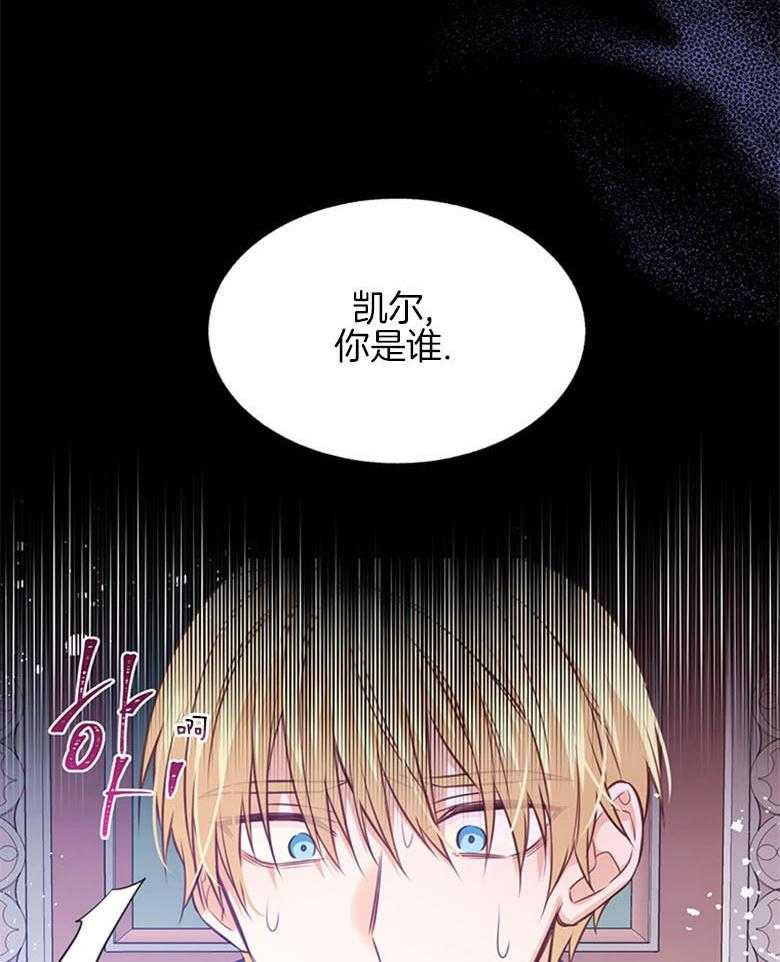 《狂撩炮灰美人殿下》第29话 皇位的重量 第29页
